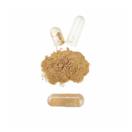 HSN Extracto de Rhodiola Rosea 5:1 400mg 120vcaps