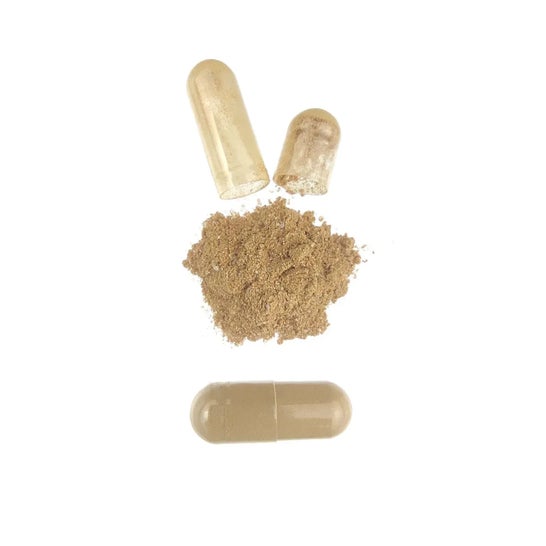 HSN Extracto de Alcachofa 20:1 500 mg 120 vcaps