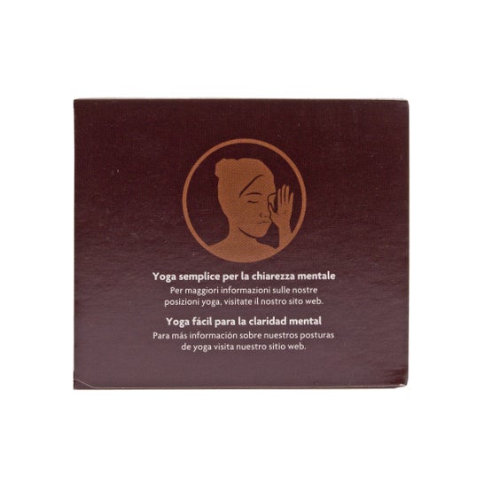 Yogi Tea Choco 17 bustine filtro