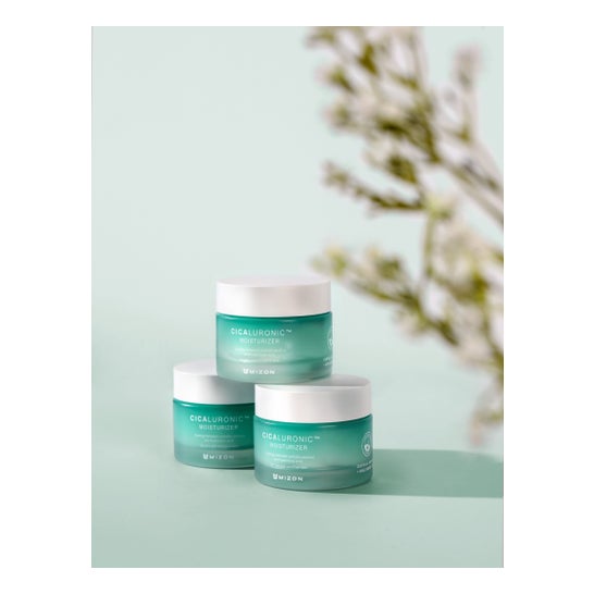 Mizon Cicaluronic Moisturizer 50 ml