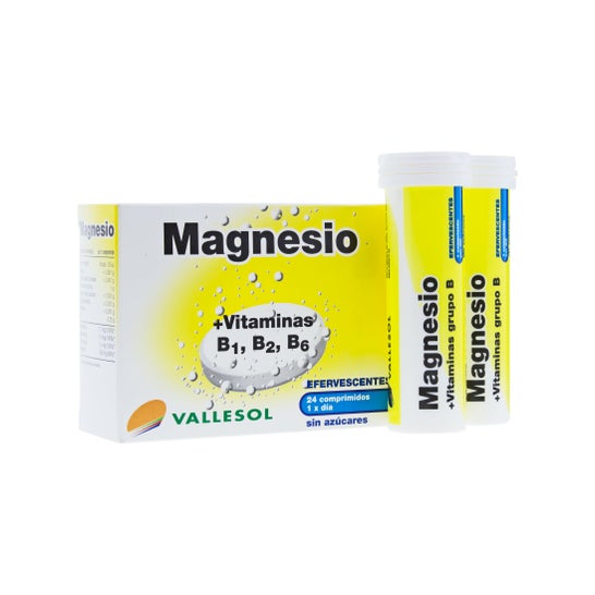 Vallesol magnesio e vitamine 24comp effervescente
