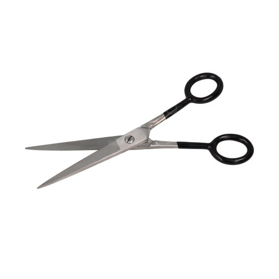 Zenish Forbici Professionali Metallo Argento Manico Nero 7 1 Unità