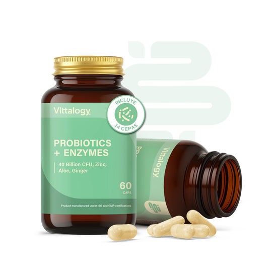 Vittalogy Probiotics Premium 60 caps