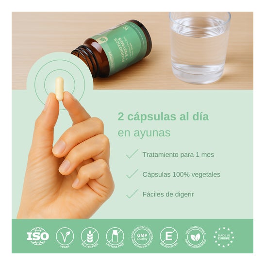Vittalogy Probiotics Premium 60 caps