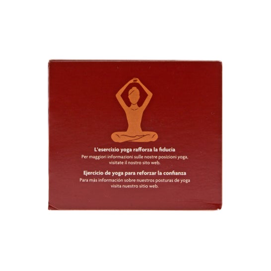 Yogi Tea Buenos Sueños rooibos vainilla 17 bolsitas