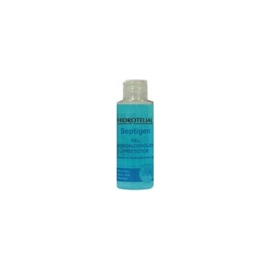 Hidrotelial Septigen Gel Hidroalcóholico Protector 1100 ml