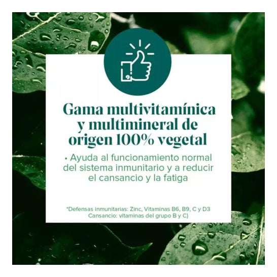 Arkovital® Reine Energie 50+ 60 Kapseln Arkovital® Reine Energie 50+ 60 Kapseln