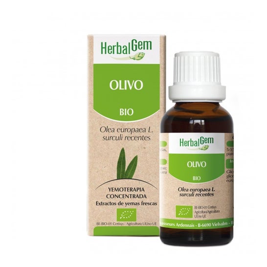 HerbalGem Olivo 50 ml