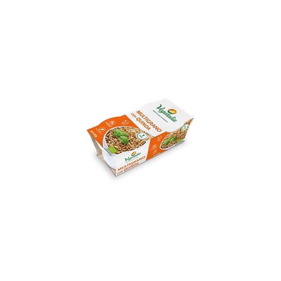 Vegetalia Multigrano con Quinoa Bio 2x125g