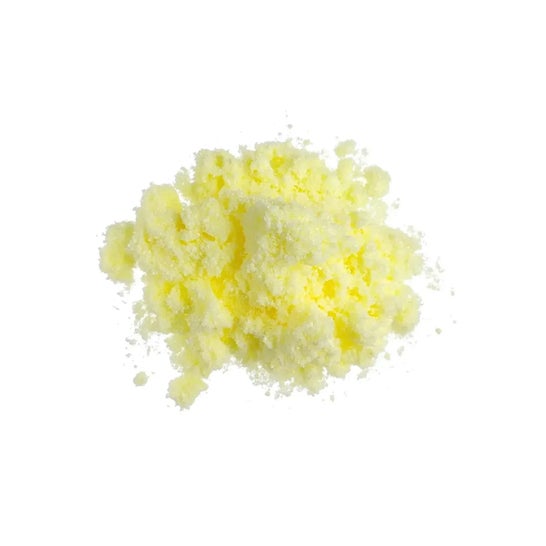 HSN Ácido Alfa Lipoico ALA en Polvo 150g