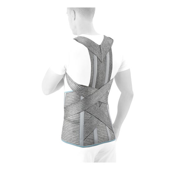 Orliman Lumbitec Dorsolumbar Girdle Grey Fx-113 T6 1ud | PromoFarma