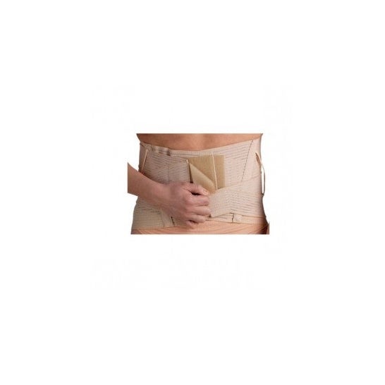 Faja alta TL de Prim: compresión y soporte para espalda y abdomen. I