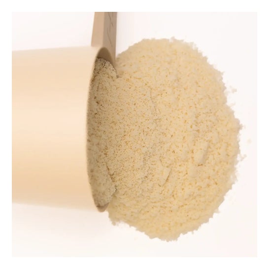 HSN Evowhey Protein Sin Edulcorantes Vainilla 500g
