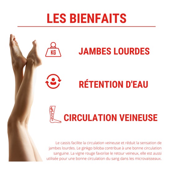 Laboratoires Enova Formule Circulation Sanguine 60 Gélules
