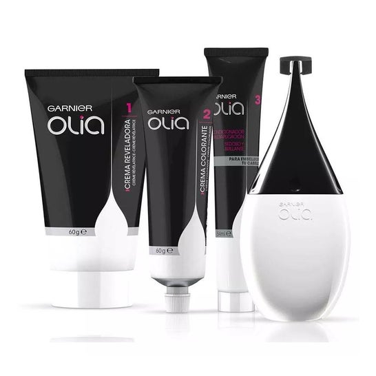 Garnier Olia Colorazione Permanente N°4.0 Castagna 4 pezzi Garnier Olia Colorazione Permanente N°4.0 Castagna 4 pezzi