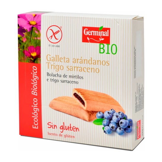 Germinal Bio Galleta Arándanos Trigo Sarraceno 250g