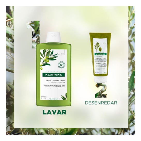 Klorane Champú al Olivo Bio 200 ml