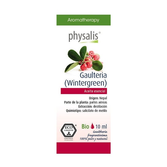 Physalis Wintergrün ätherisches Öl Bio 10ml