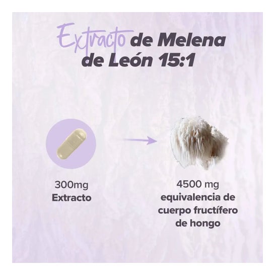 HSN Extracto de Melena de León 15:1 300mg 120vcaps