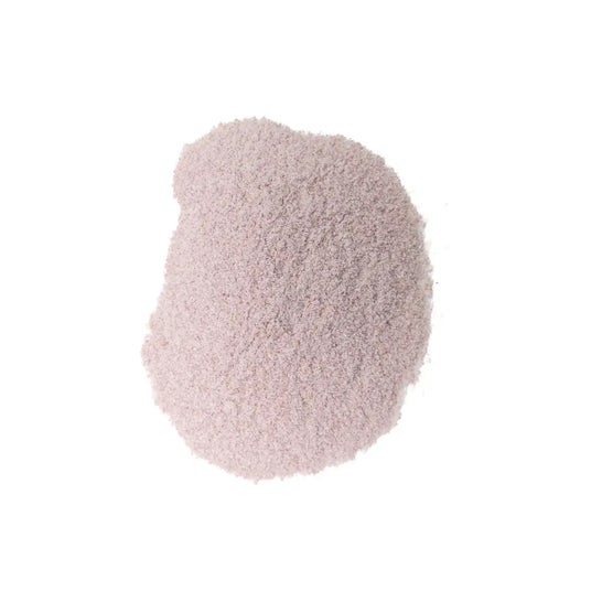HSN Evostamina Grosella Negra 500g