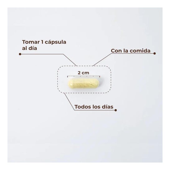 Kobho Trans Resveratrol+ Quercetin 60caps Kobho Trans Resveratrol+ Quercetin 60caps