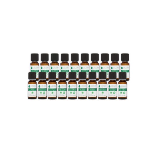 Voshuiles Les Indispensables 20 Huiles Essentielles