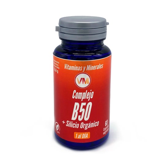Ynsadiet Vitamina B50 +Silicio 60Cap