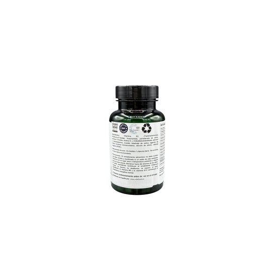 CocoHagen Mini Trufa Vainilla 25x20 g