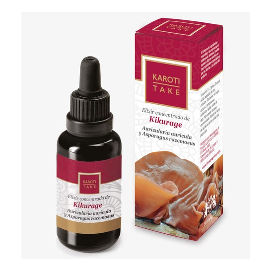 Hiranyagarba Karoti-Take Kikurage 30ml
