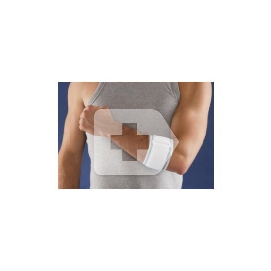 Intex vendaje antiepicondilitis T pequeña 1 ud
