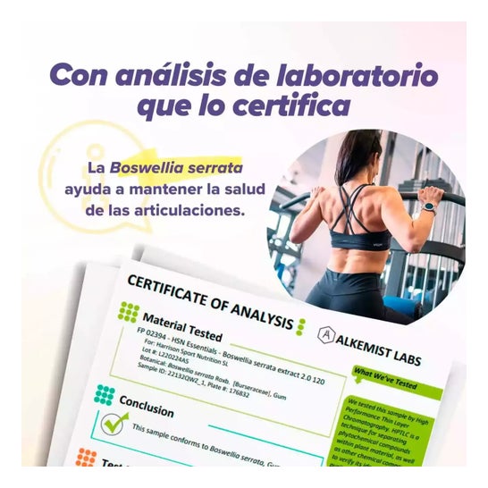HSN Extracto de Boswellia Serrata 20:1 500mg 120vcaps