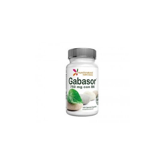 Natural World Gabasor 750 mg med B6 100 Cap