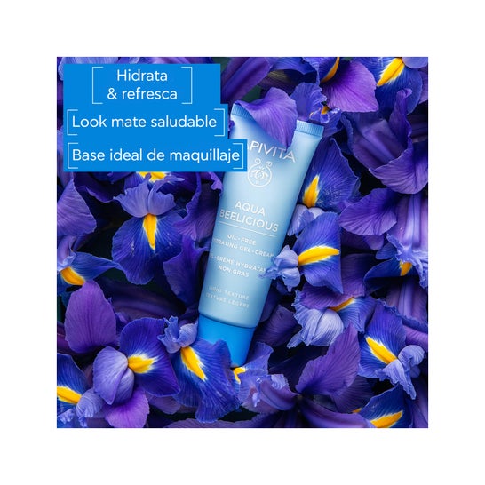 Apivita Aqua Beelicius gel Crema 40 ml