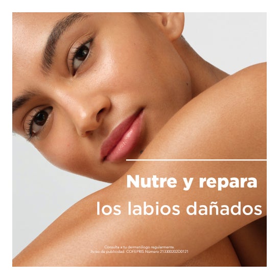 Bioderma Atoderm Stick Lèvres Labial Ultrahidratante 4g