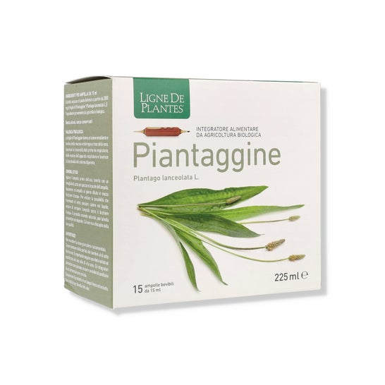 Ligne De Plantes Piantaggine 15x15ml