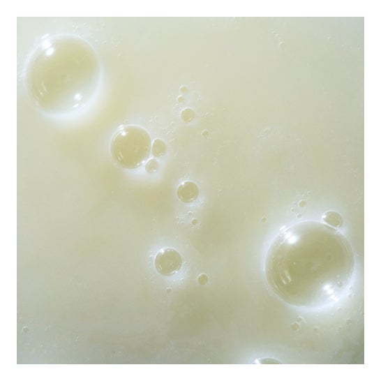 The Cutis Lab Cutis D Shampoo 150 ml