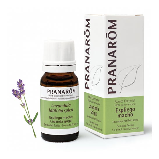 Pranarôm mannelijke lavendel essentiële olie 10ml