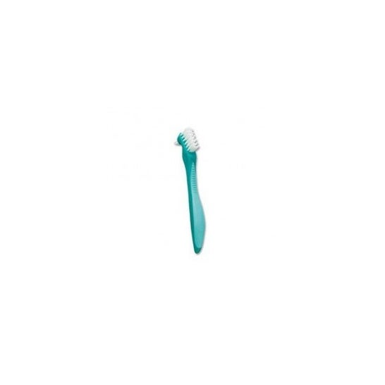 Gum Brush Prosthesis 201 Cleaning 1ut