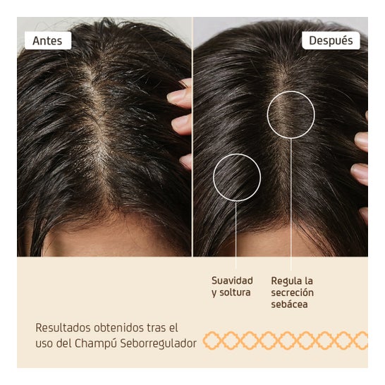 Nuggela & Sulé Champú Seborregulador Cabello Graso 250 ml