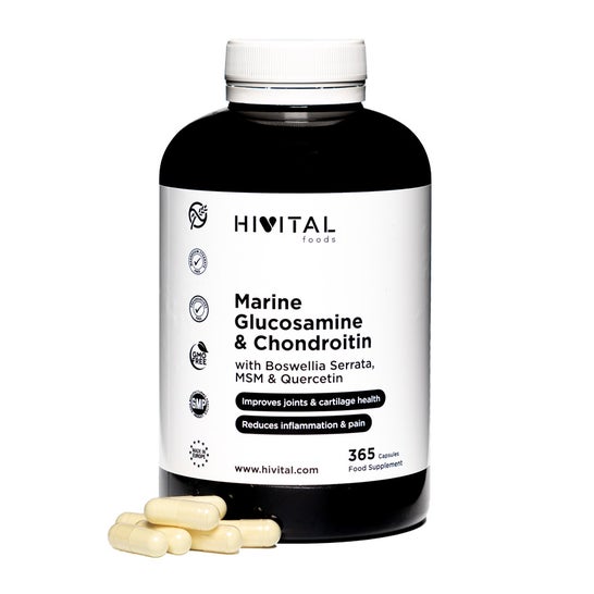 Hivital Foods Glucosamina con Condroitina 365cáps