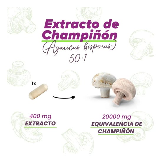 HSN Extracto de Agaricus Bisporus H2O Slim® 400mg 120vcaps