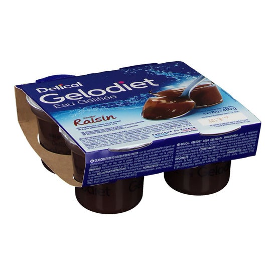 Delical Gelodiet Gel de agua Rais 4X120