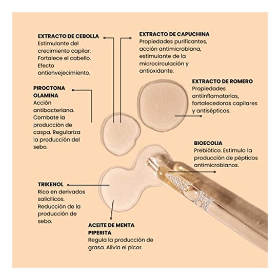 Mi Rebotica Loción Capilar Anticaspa 100ml Mi Rebotica Loción Capilar Anticaspa 100ml