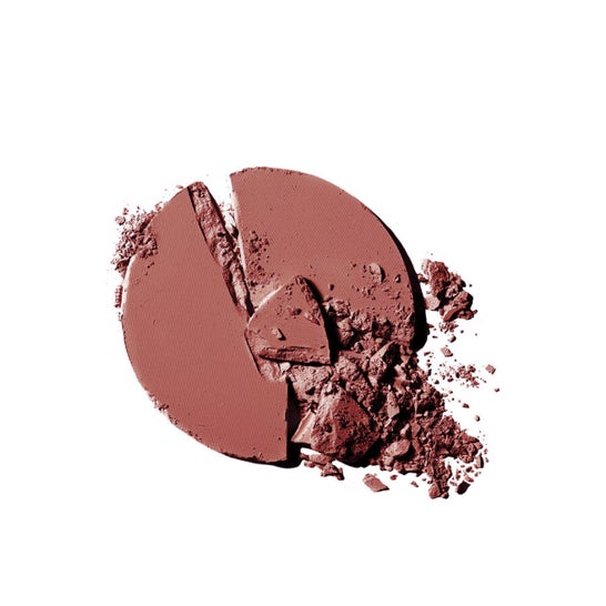 Accordo Loreal Parfait Parfait Le Blush Rouge 120