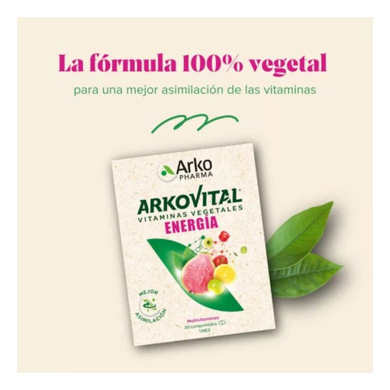 Arkopharma Arkosterol Coenzima Q10 45caps Arkopharma Arkosterol Coenzima Q10 45caps