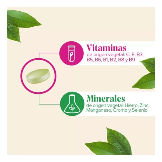 Arkopharma Arkosterol Coenzima Q10 45caps Arkopharma Arkosterol Coenzima Q10 45caps