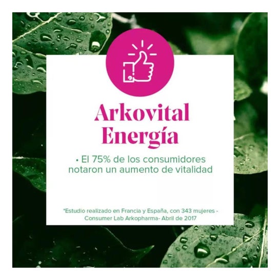 Arkopharma Arkosterol Coenzima Q10 45caps Arkopharma Arkosterol Coenzima Q10 45caps