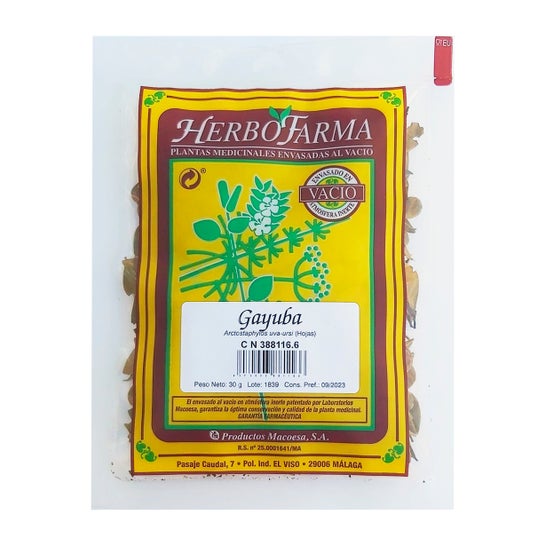 Herbofarma Gayuba Al Vacio 40 G HERBOFARMA,