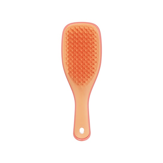 Tangle Teezer Detangler Mini Pink Orange