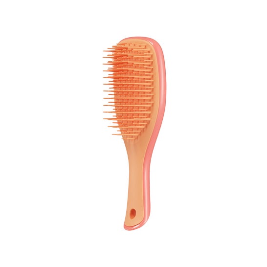 Tangle Teezer Detangler Mini Pink Orange